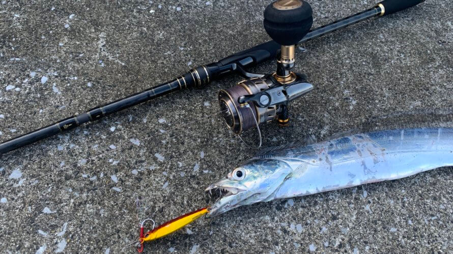 釣ったタチウオを生で食べる!おすすめの食べ方3選【捌き方あり】