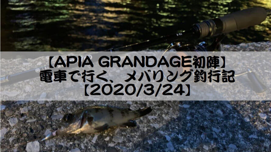 【APIA GRANDAGE初陣】電車で行く、メバリング釣行記【2020/3/24】