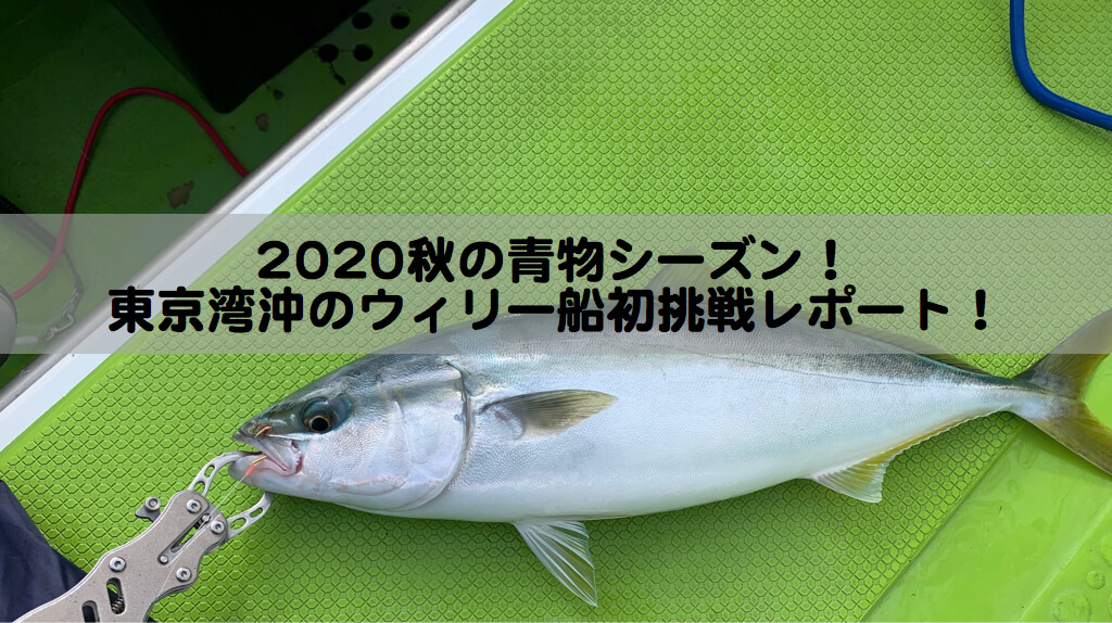 年秋の青物シーズン 東京湾沖のウィリー船初挑戦レポート フラウンダーの電車釣行記